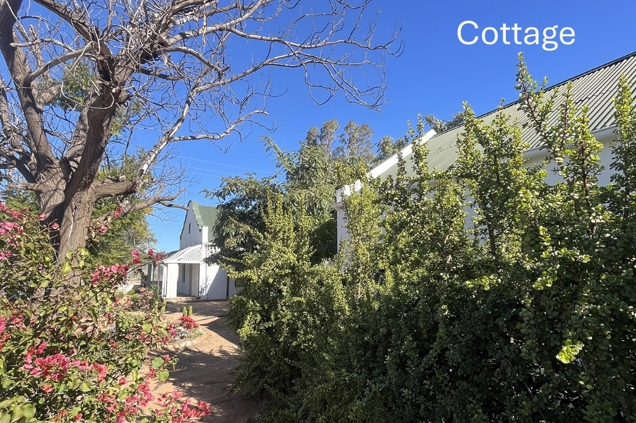 4 Bedroom Property for Sale in Steytlerville Eastern Cape